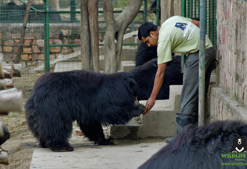 luxury-taj-mahal-tour