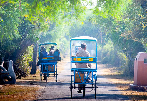 luxury-taj-mahal-tour