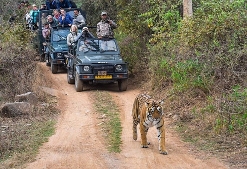 luxury-taj-mahal-tour